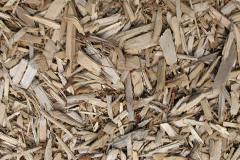 biomass boilers Caldy